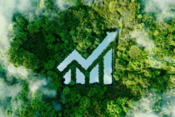 3家上市险企上半年保费收入近4200亿 银保渠道价值贡献提升